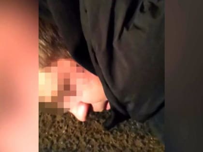 На трассе «М-8» Холмогоры сотрудники полиции задержали машину с наркодилером