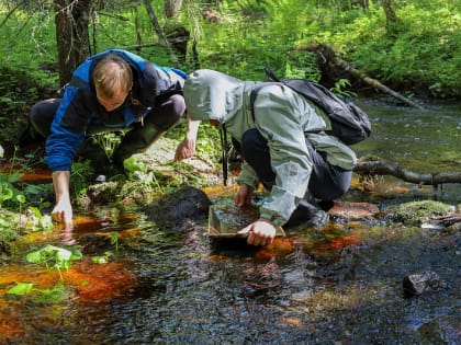 Студенты ВШЭНиГ вернулись с полевой практики в Онежском районе