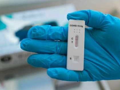 В России не обнаружили новый вариант омикрон-штамма коронавируса «кракен»