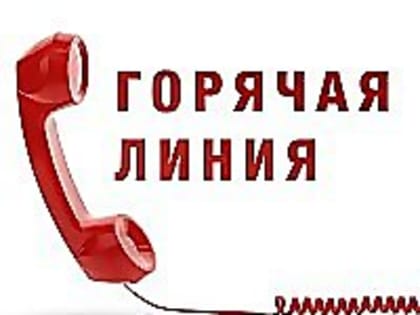 Горячая линия для жалоб на неформальную занятость и «серую» зарплату