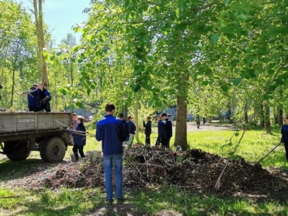 В Северодвинске 160 подростков уже отработали в составе трудовых бригад