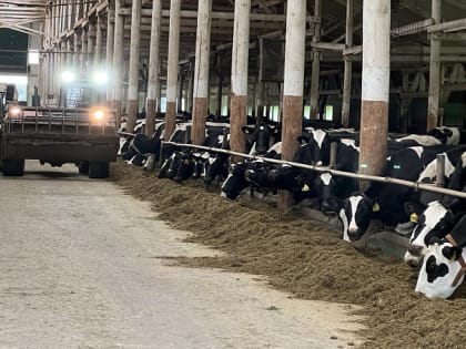 В Поморье в этом году потратят миллиард на поддержку сельского хозяйства