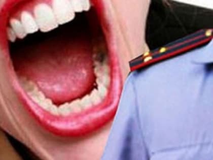 Молодая жительница Архангельской области, устроившая погром в отделе полиции, получила штраф в 20 тысяч