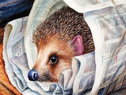 Читаем вместе: М. Пришвин «Ёж»