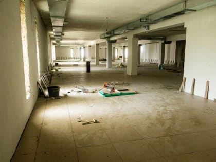 Капремонт здания Добролюбовки продолжается