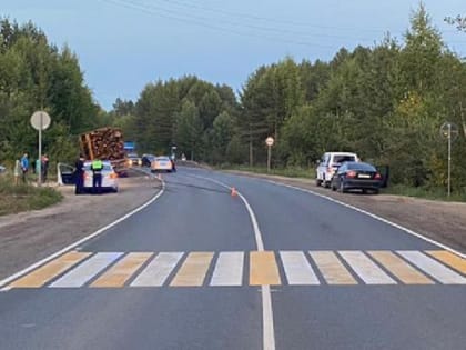 В Архангельской области погиб 6-летний мальчик, который выбежал на дорогу под КАМАЗ
