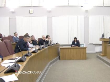 Стела и благоустройство территорий: Горсовет Северодвинска обсудил изменения бюджета