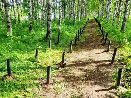 В парке села Лешуконское ведутся работы по устройству пешеходной дорожки