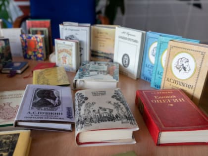 Библиотека в портфеле