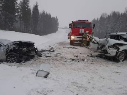 В ДТП в Котласском районе пострадали семь человек