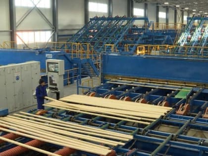 Меры поддержки лесопромышленных предприятий региона обсудят на чемпионате "Лесоруб XXI века" в Устьянском округе