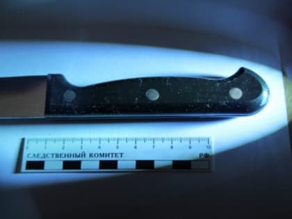 В Архангельске задержан подозреваемый в покушении на убийство местного жителя