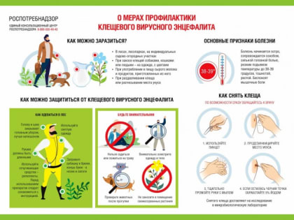 Внимание! Наступил сезон активности клещей