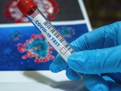 В России предупредили о распространении нового подвида коронавируса