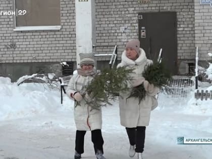 Подарить вторую жизнь новогодней ёлке смогут жители Архангельска, Северодвинска и Новодвинска