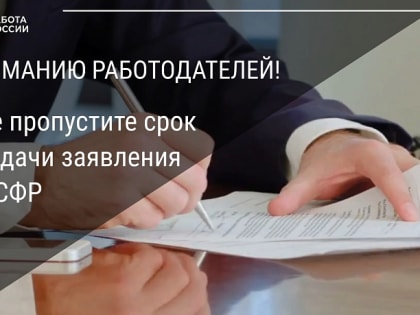 Работодатели Поморья могут получить субсидии за трудоустройство граждан