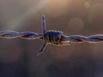 В Архангельской области отбывающий наказание осужденный получил 4,5 года колонии за оскорбление и применение насилия к сотруднику УФСИН