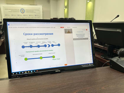 Налогоплательщикам разъяснили упрощенный порядок рассмотрения жалоб  с 2025 года