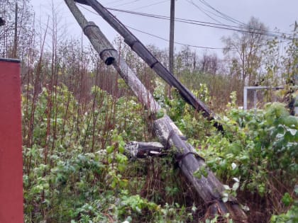 «Поселок полностью обесточен. Нет воды»: в Маймаксе упал еще один столб ЛЭП