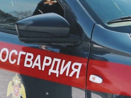 Няндомские росгвардейцы задержали осужденную гражданку, объявленную в розыск
