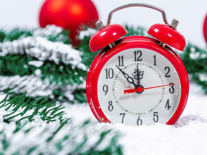 Жителям Поморья советуют погасить налоговую задолженность до Нового года