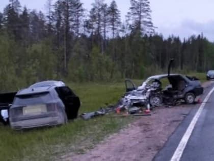 В ДТП на М-8 в Холмогорском районе один человек погиб и пятеро пострадали