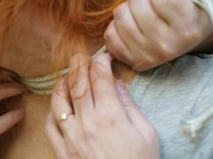 Архангелогородец в порыве гнева избил и задушил свою подругу