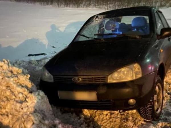 В Архангельской области пьяная тетка за рулем "Лады" устроила ДТП. Пассажир попал в реанимацию