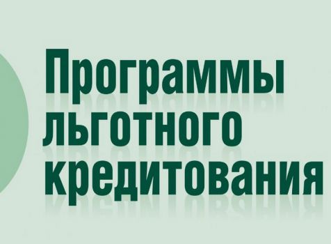 Льготное кредитование малого бизнеса в 2024. Льготное кредитование по программе МСП 1764. Программа льготных кредитов «1764». Программа льготного кредитования МСП. Программа льготных кредитов «1764» Эстетика.