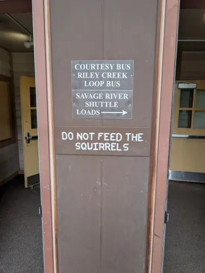 I will not feed the squirrels!