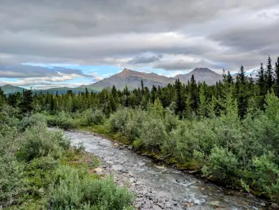 Creek running past the campground I stayed at