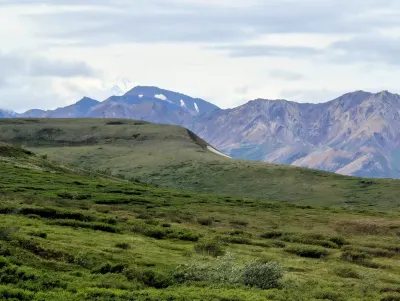 A little peek at Mt. Denali in the distance