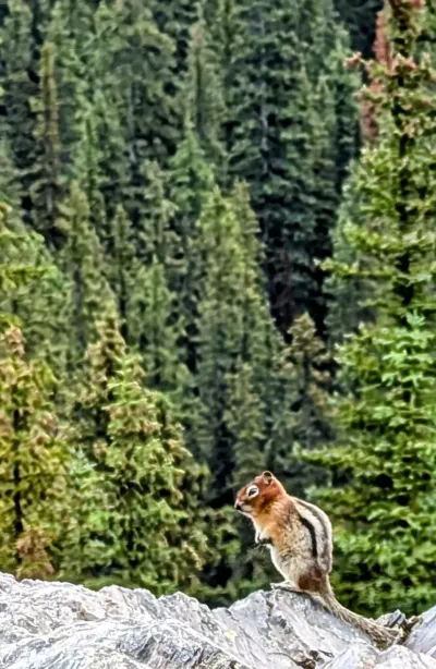 Local resident of Moraine Lake