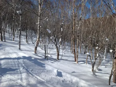 Winter beauty