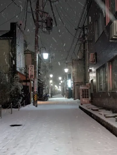 Even the city streets are beautiful when covered in untracked snow