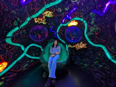 Meow Wolf - Denver. An artistic expression of an extra-terrestrial landscape