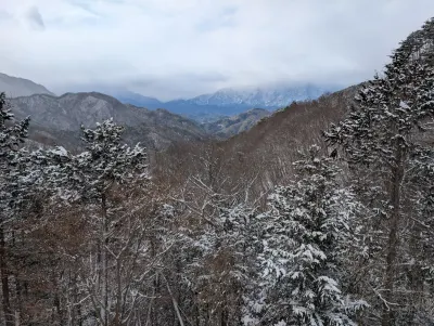 On the way to Tokyo, I took a side route and was rewarded with more beautiful views