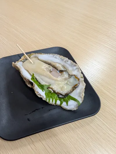 Hokkaido Oyster for lunch