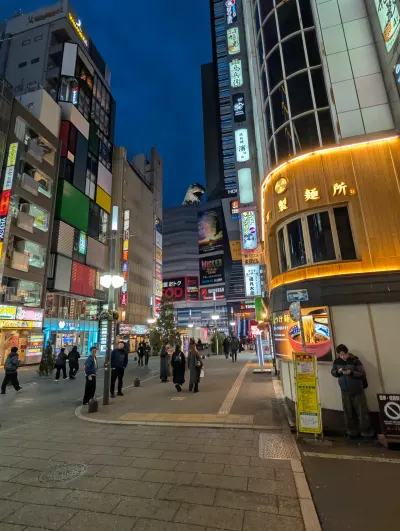 Streets and lights of Shinjuku