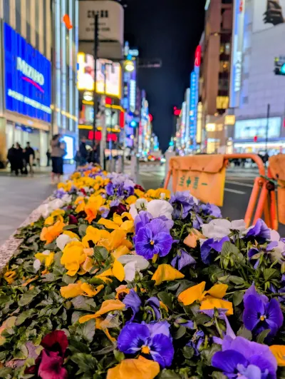 Urban flowers
