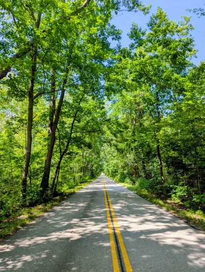 Green tunnel heading into the National Park