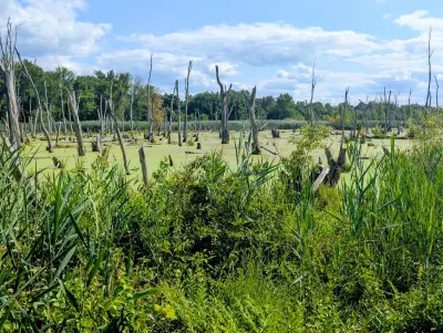 Great Marsh section of Indian Dunes National Park