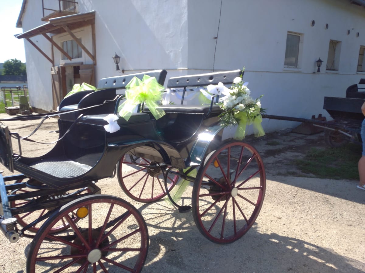 Esküvői autódísz