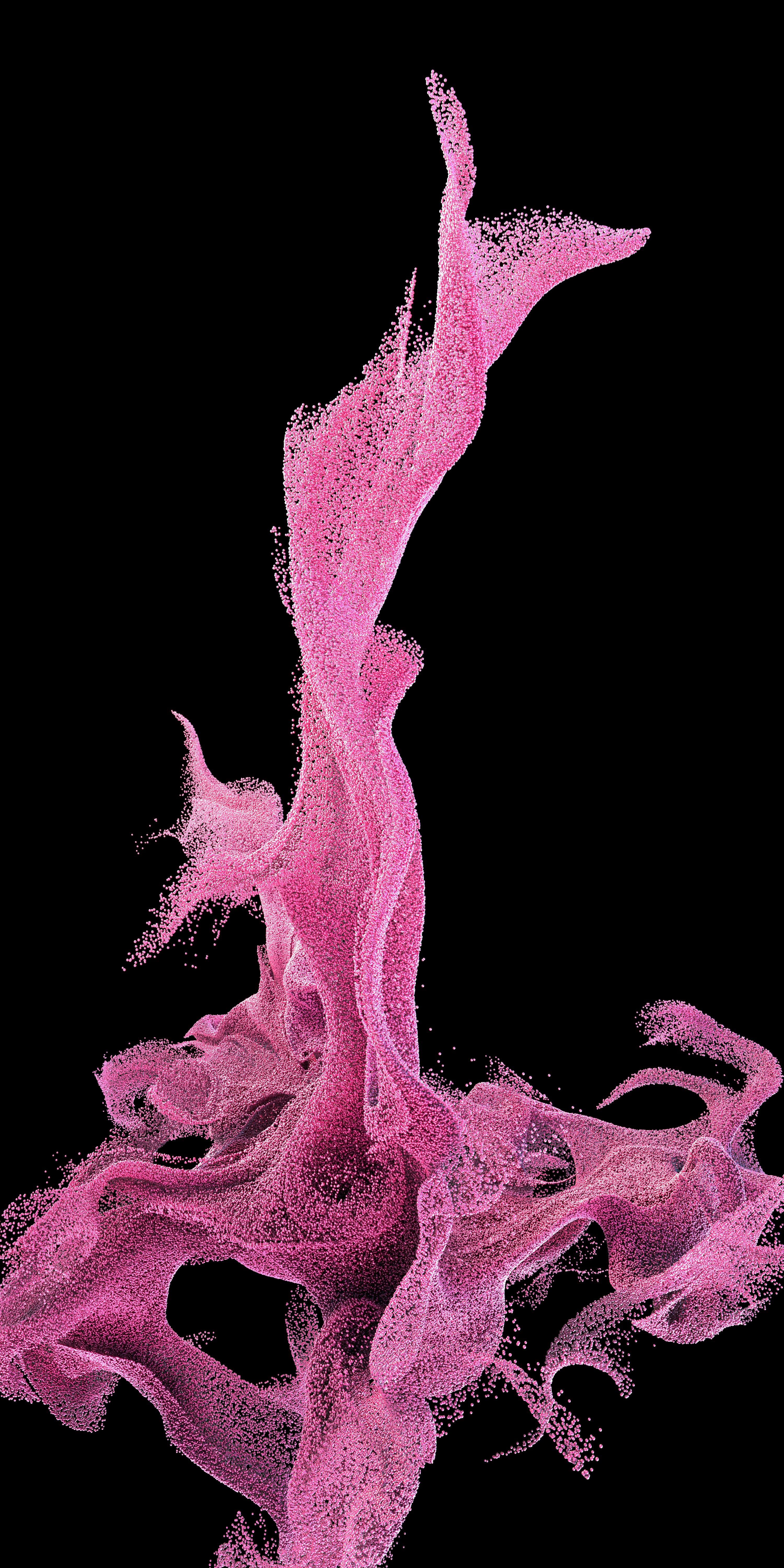 pyRevit Automation Explained: Where to Start and What to Aut