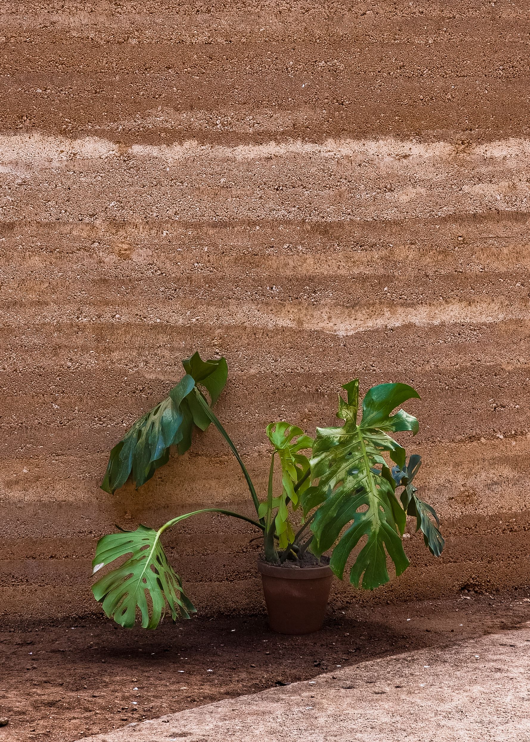 Rammed Earth: The Ancient Building Method Ready for the Age 