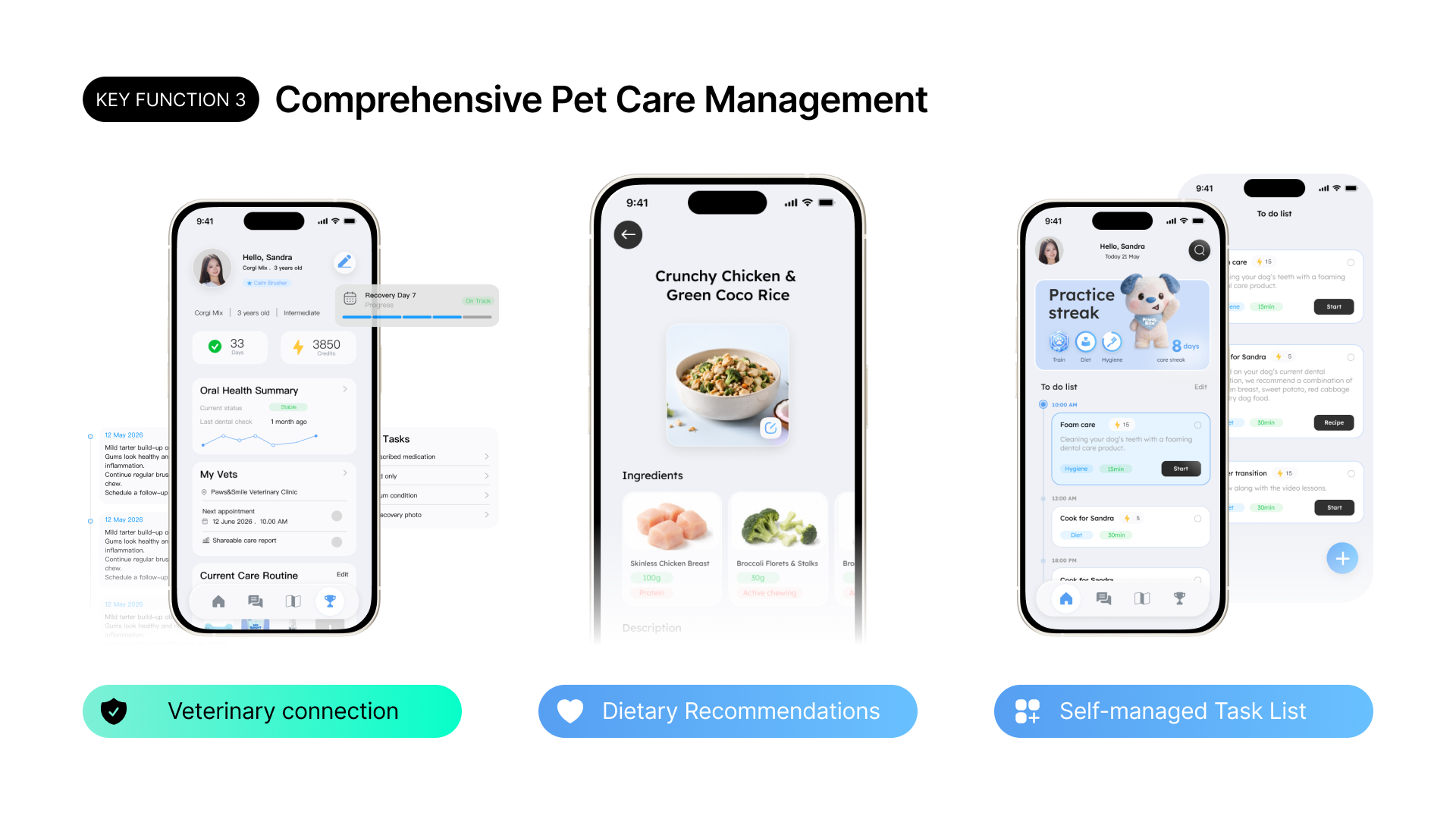 Key Function 3 — Comprehensive Pet Care Management