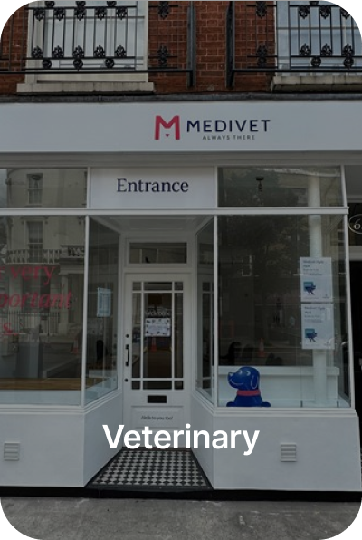 Veterinary