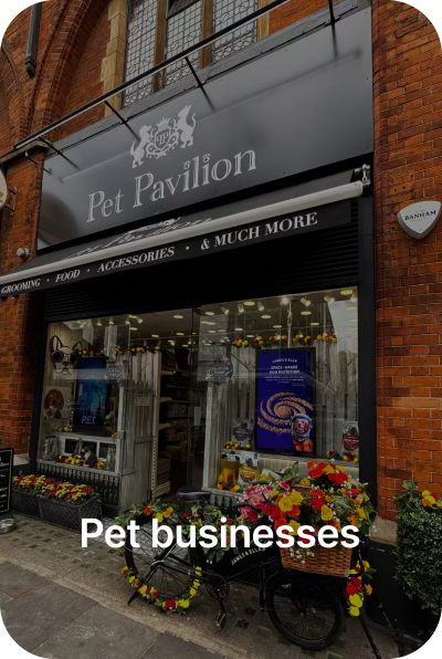 Pet businesses