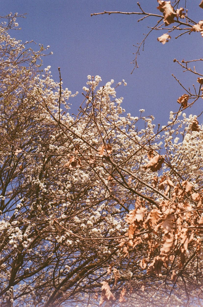 20260322_spring-winter01_mlinnemann