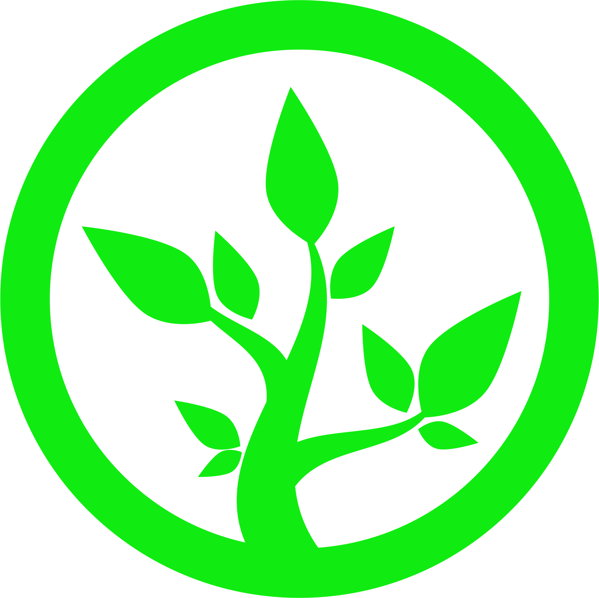 Earth
